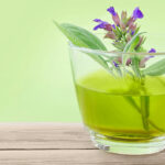 Salbei gegen Schwitzen und Entzündungen